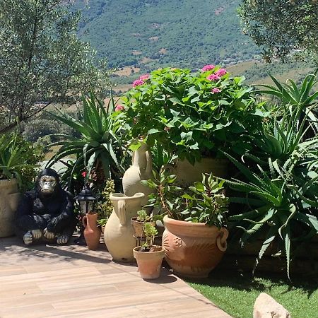 Residence Paradisu Ajaccio 阿帕涅托 外观 照片
