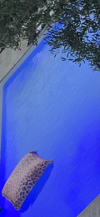 Residence Paradisu Ajaccio 阿帕涅托 外观 照片