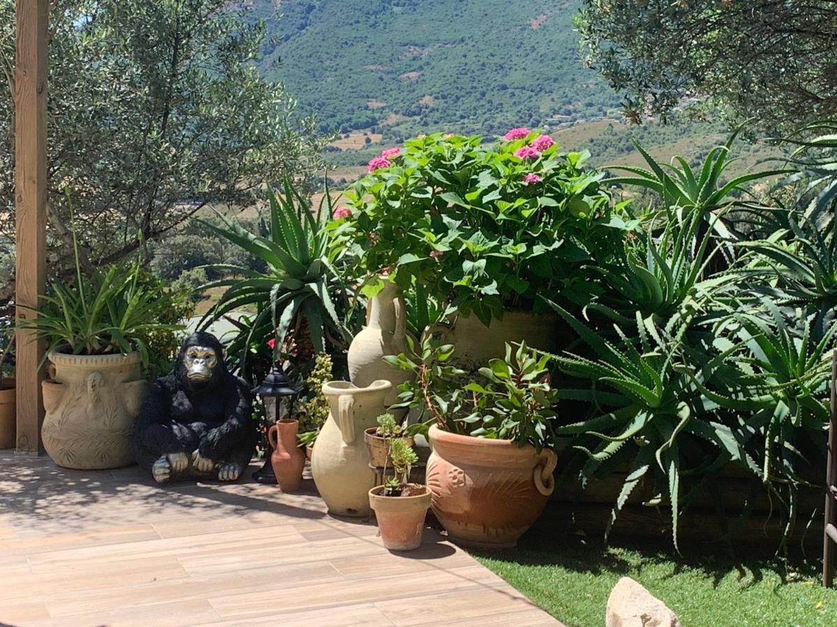 Residence Paradisu Ajaccio 阿帕涅托 外观 照片