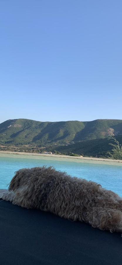 Residence Paradisu Ajaccio 阿帕涅托 外观 照片