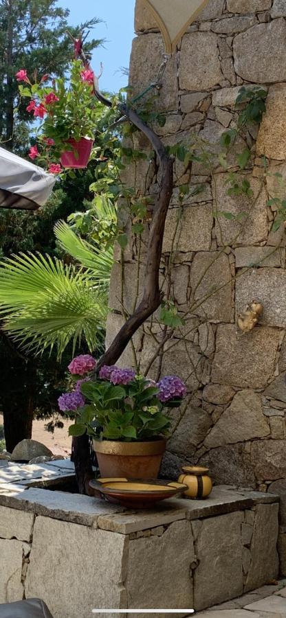 Residence Paradisu Ajaccio 阿帕涅托 外观 照片