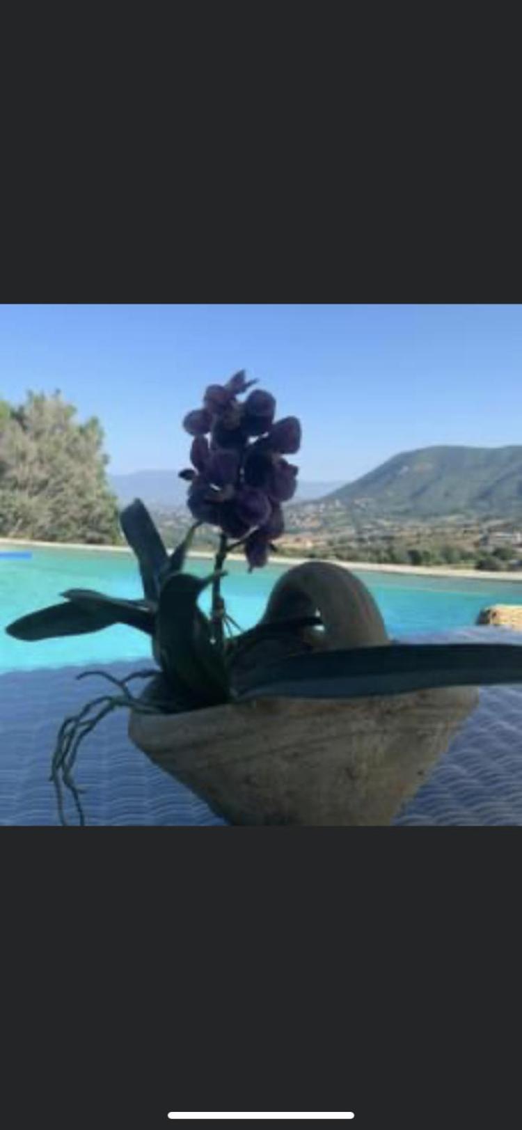 Residence Paradisu Ajaccio 阿帕涅托 外观 照片