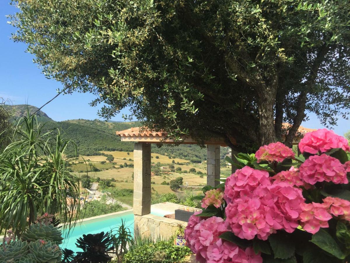 Residence Paradisu Ajaccio 阿帕涅托 外观 照片