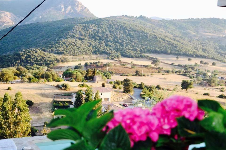 Residence Paradisu Ajaccio 阿帕涅托 外观 照片