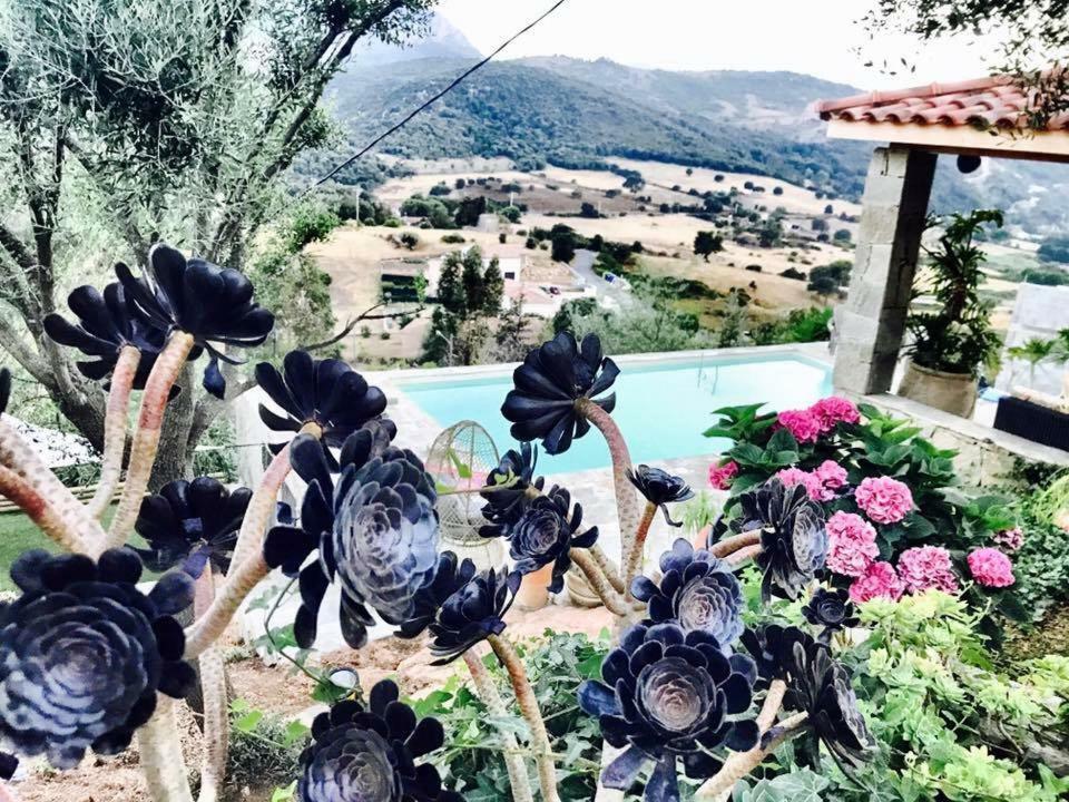Residence Paradisu Ajaccio 阿帕涅托 外观 照片