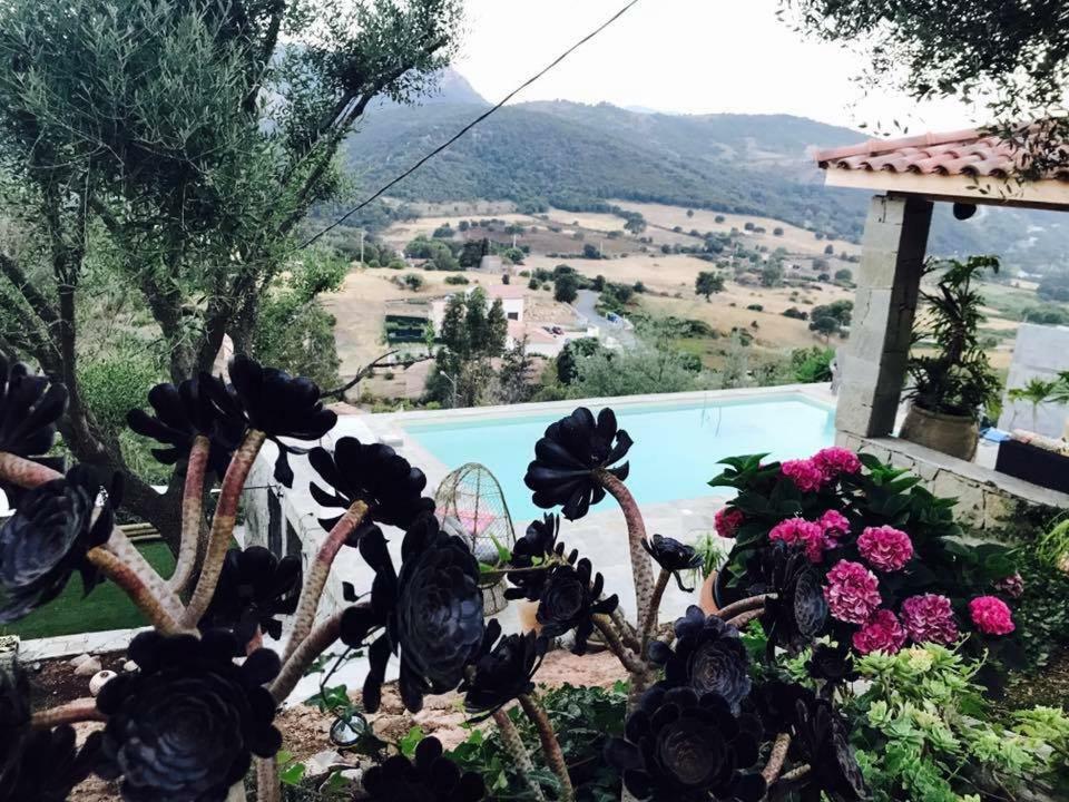 Residence Paradisu Ajaccio 阿帕涅托 外观 照片